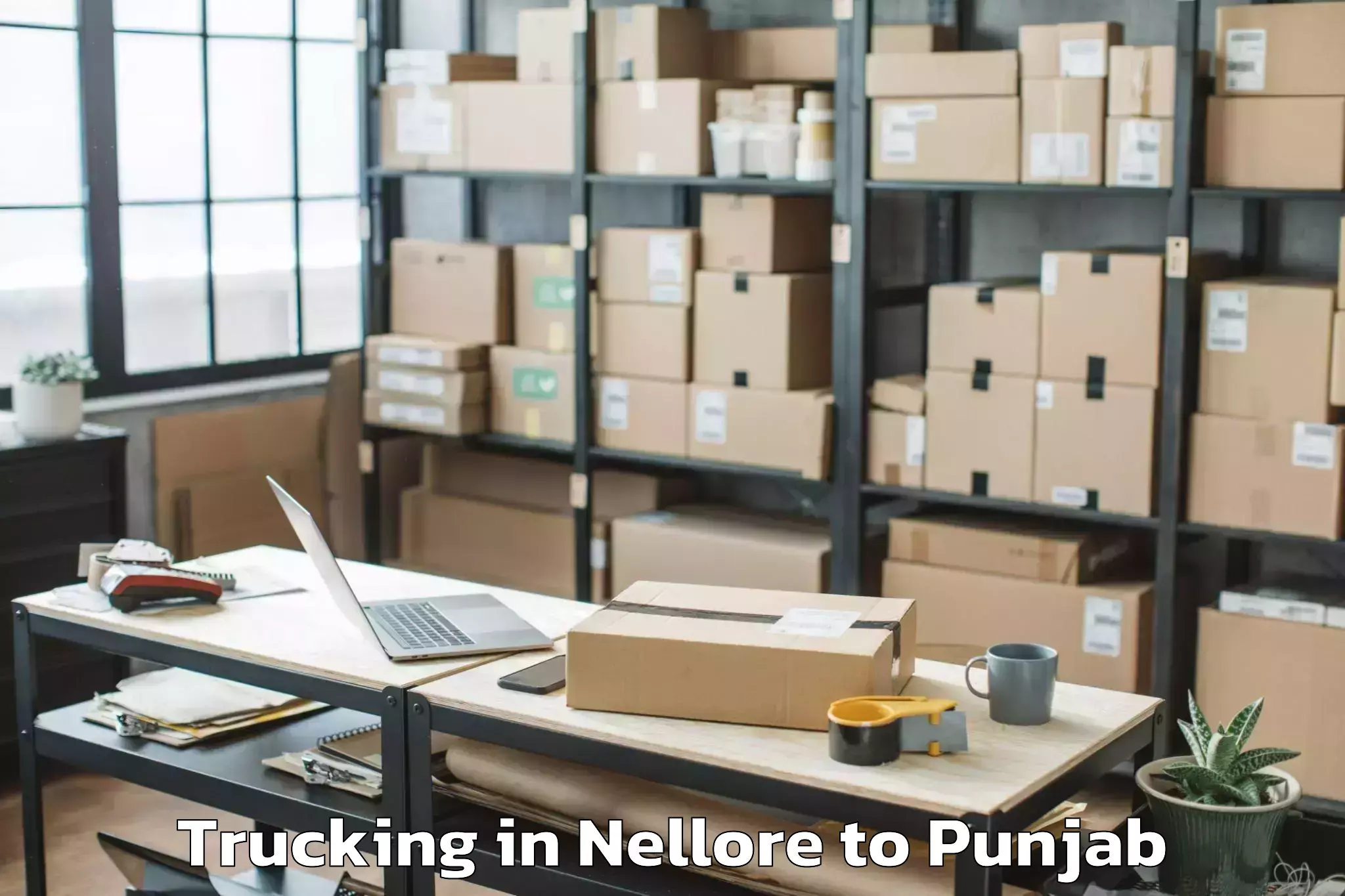 Professional Nellore to Gna University Phagwara Trucking